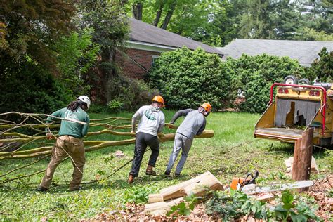 Dealing with Emergency Tree Situations: Expert Advice from Magic Hands Tree Service